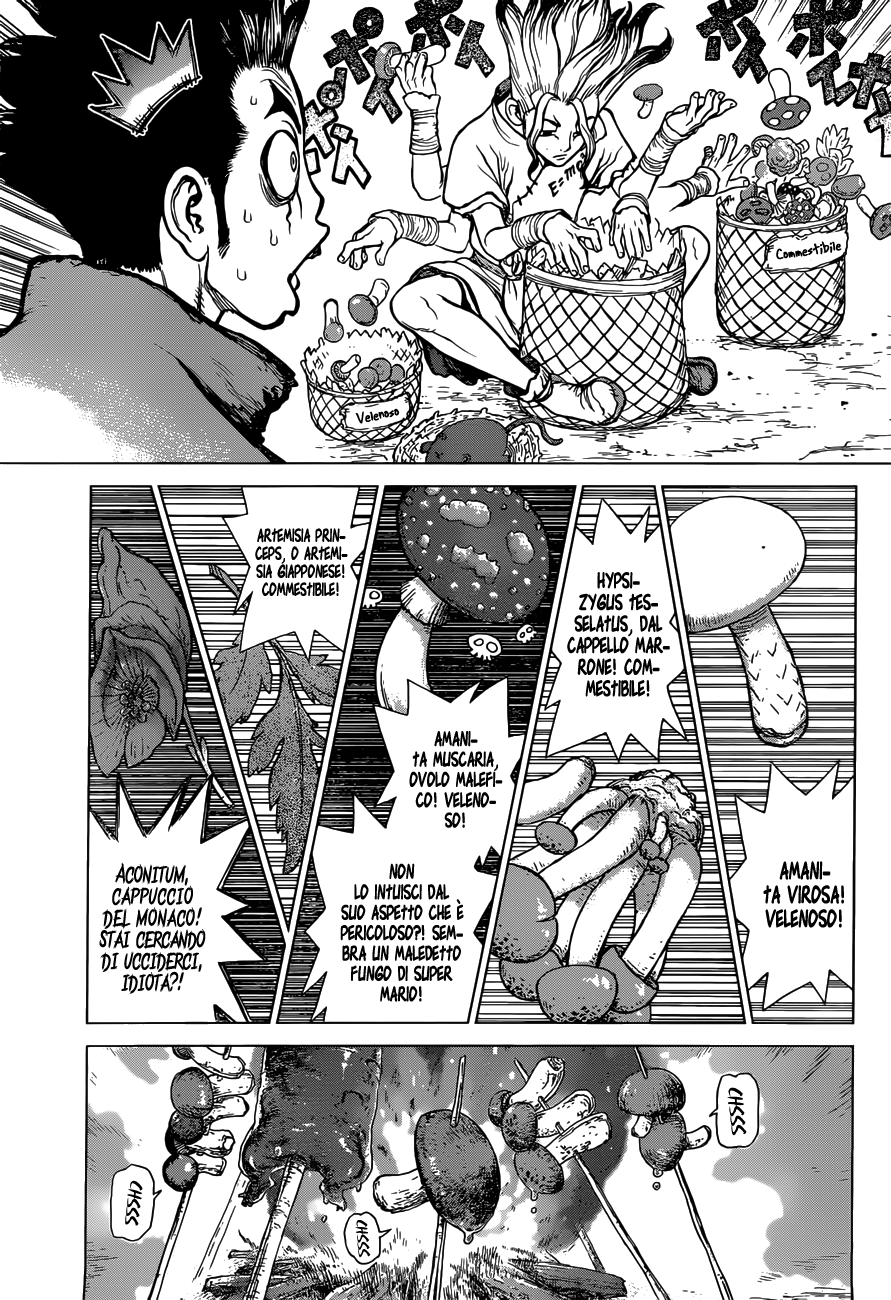 Read Dr. Stone IT Manga Online