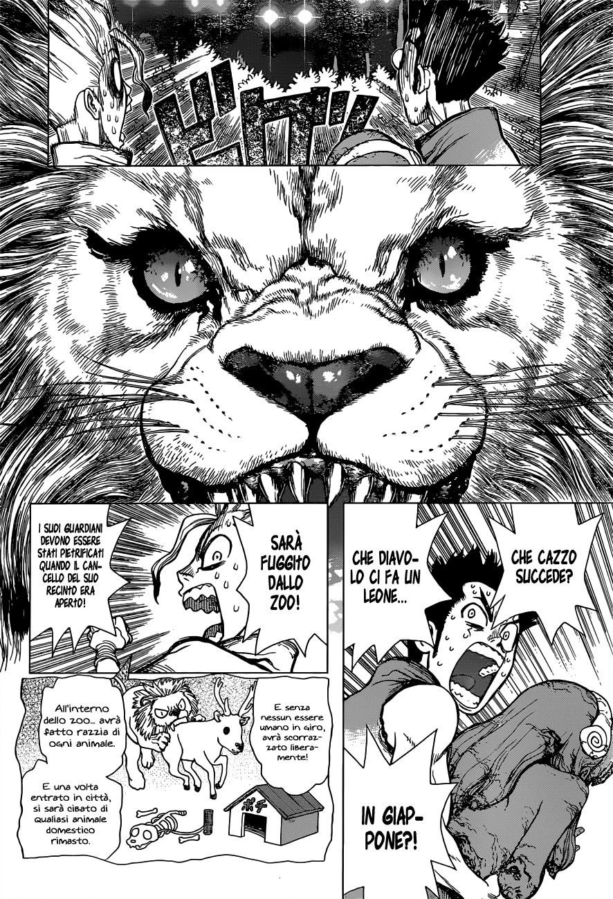 Read Dr. Stone IT Manga Online