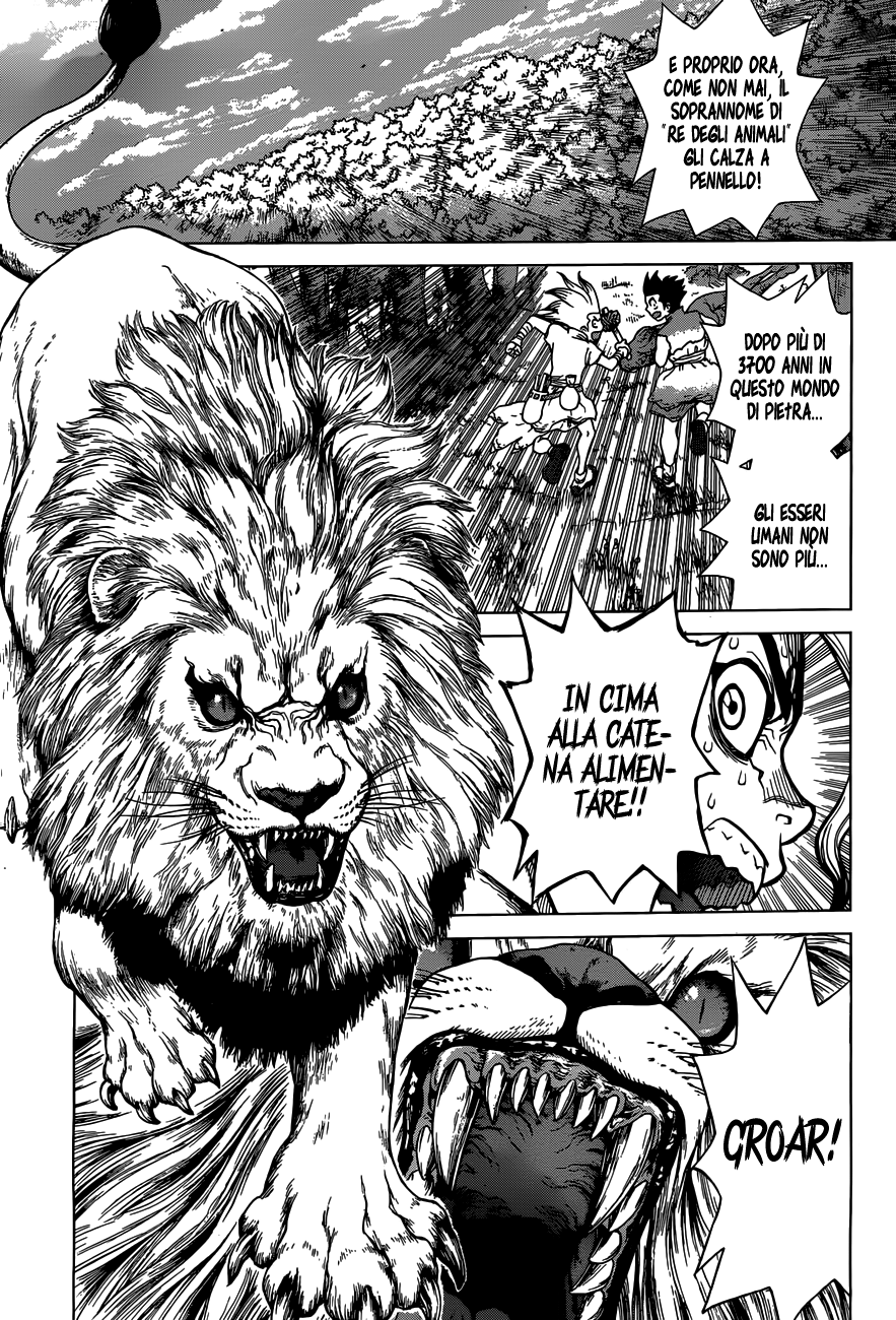 Read Dr. Stone IT Manga Online