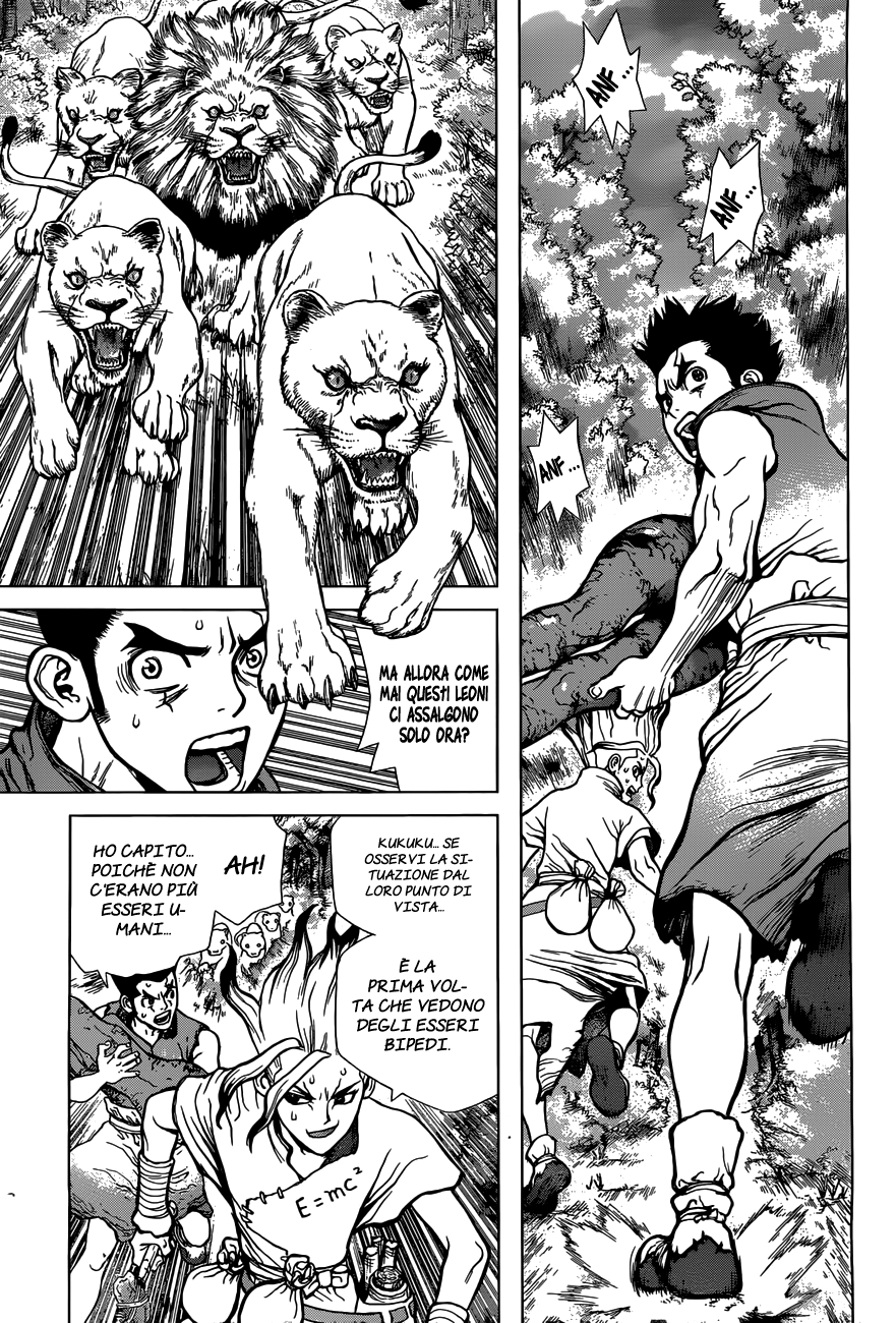 Read Dr. Stone IT Manga Online