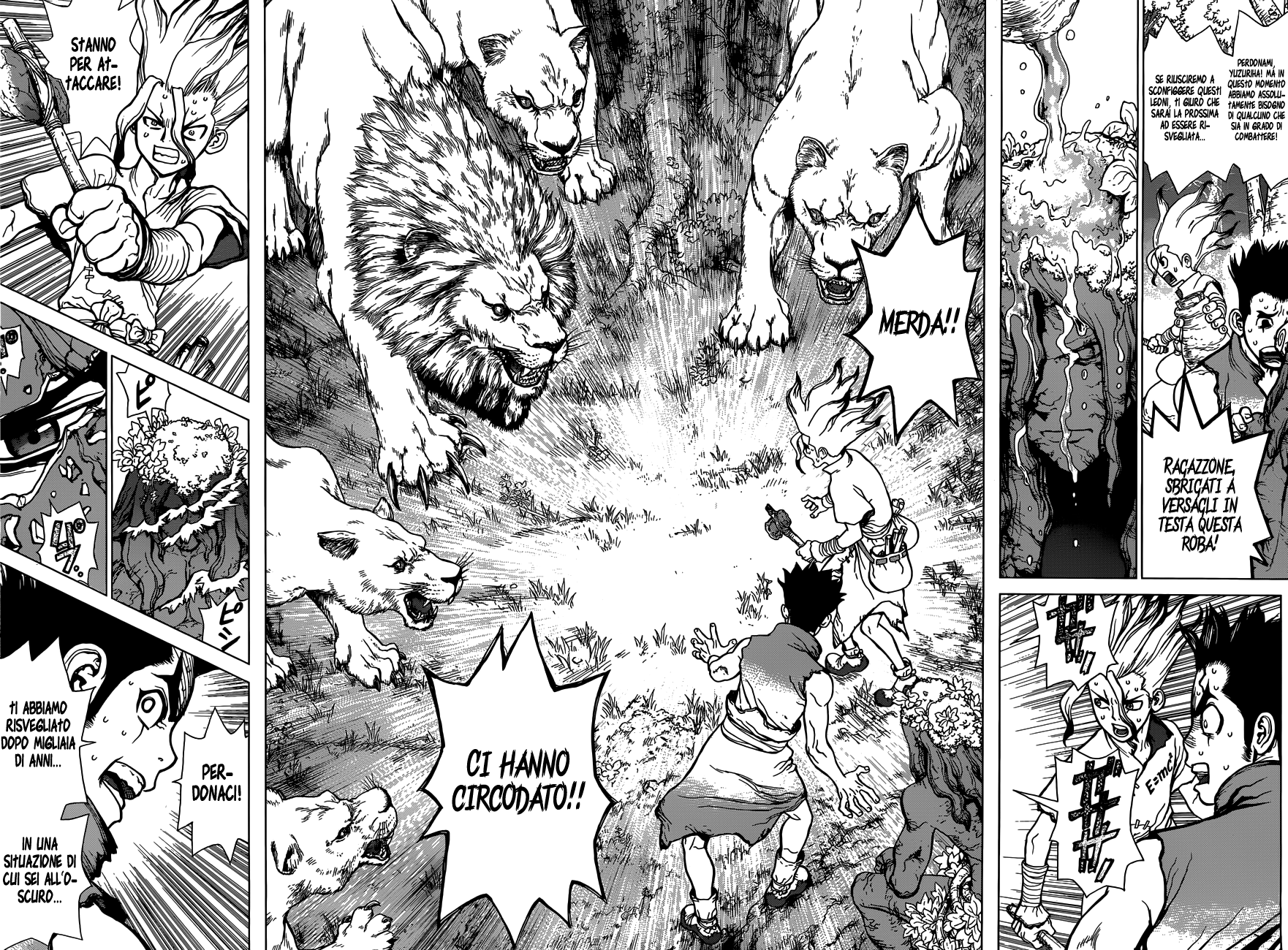 Read Dr. Stone IT Manga Online