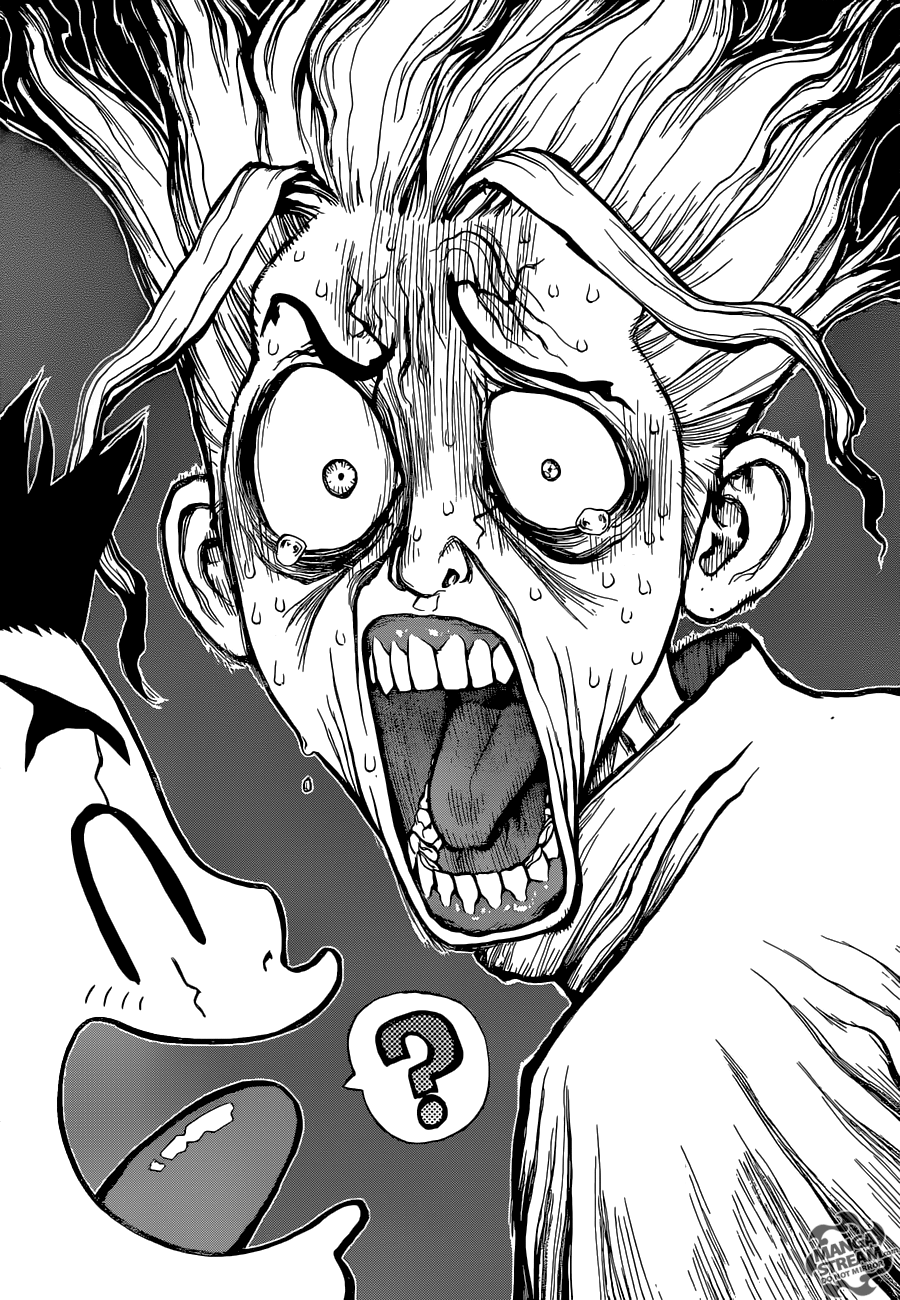 Read Dr. Stone IT Manga Online