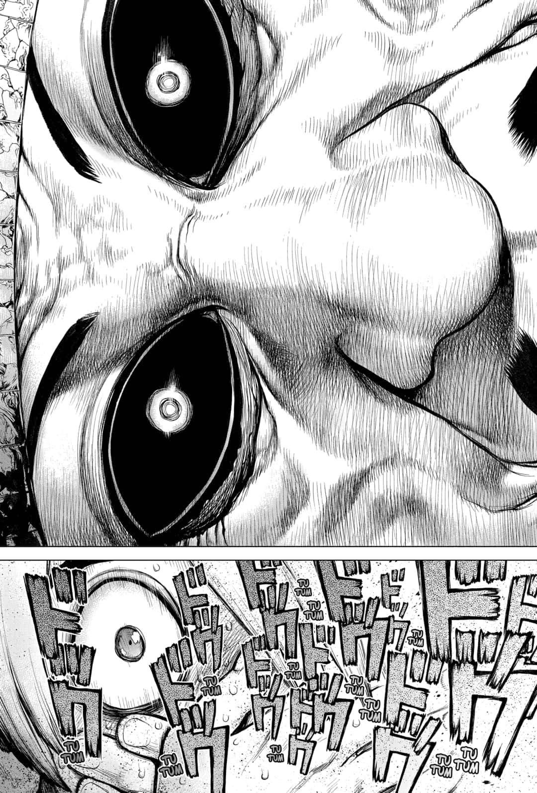 Read Dr. Stone IT Manga Online