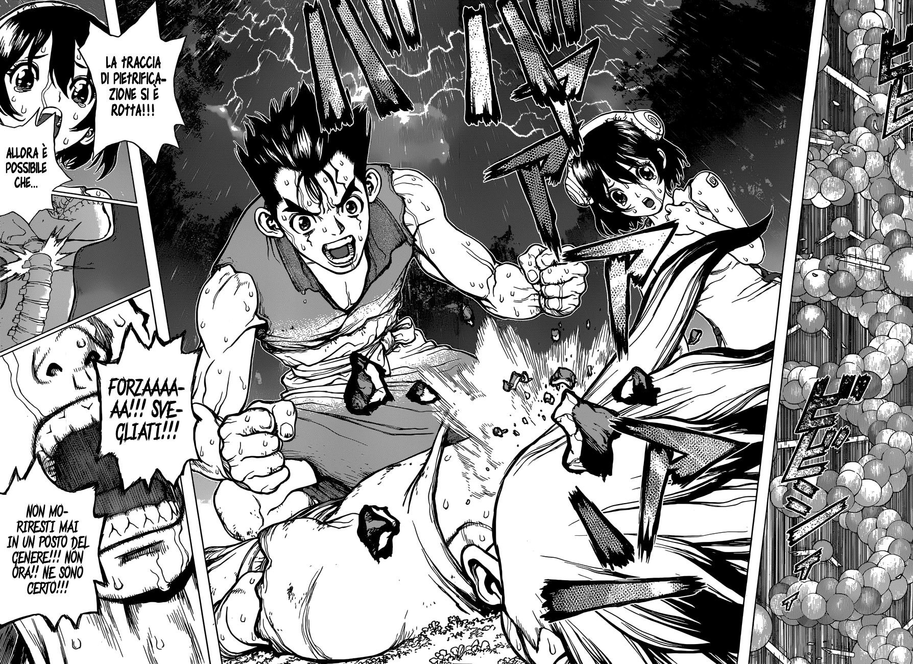 Read Dr. Stone IT Manga Online