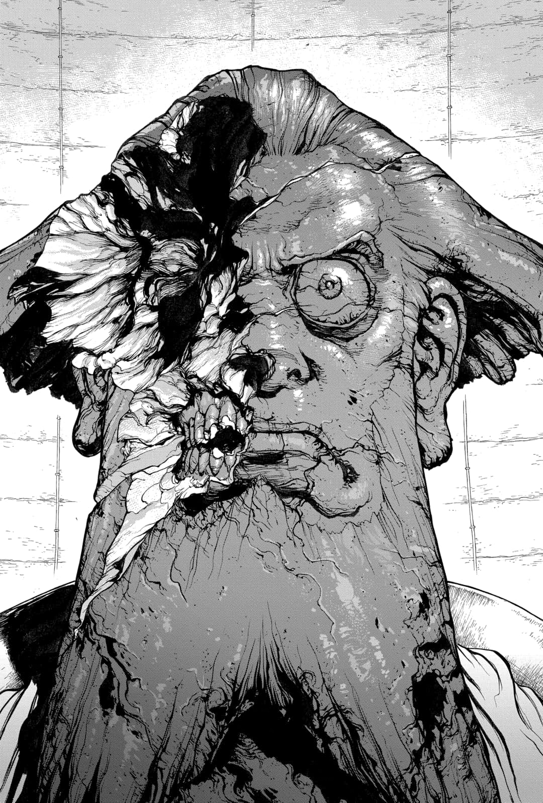Read Dr. Stone IT Manga Online