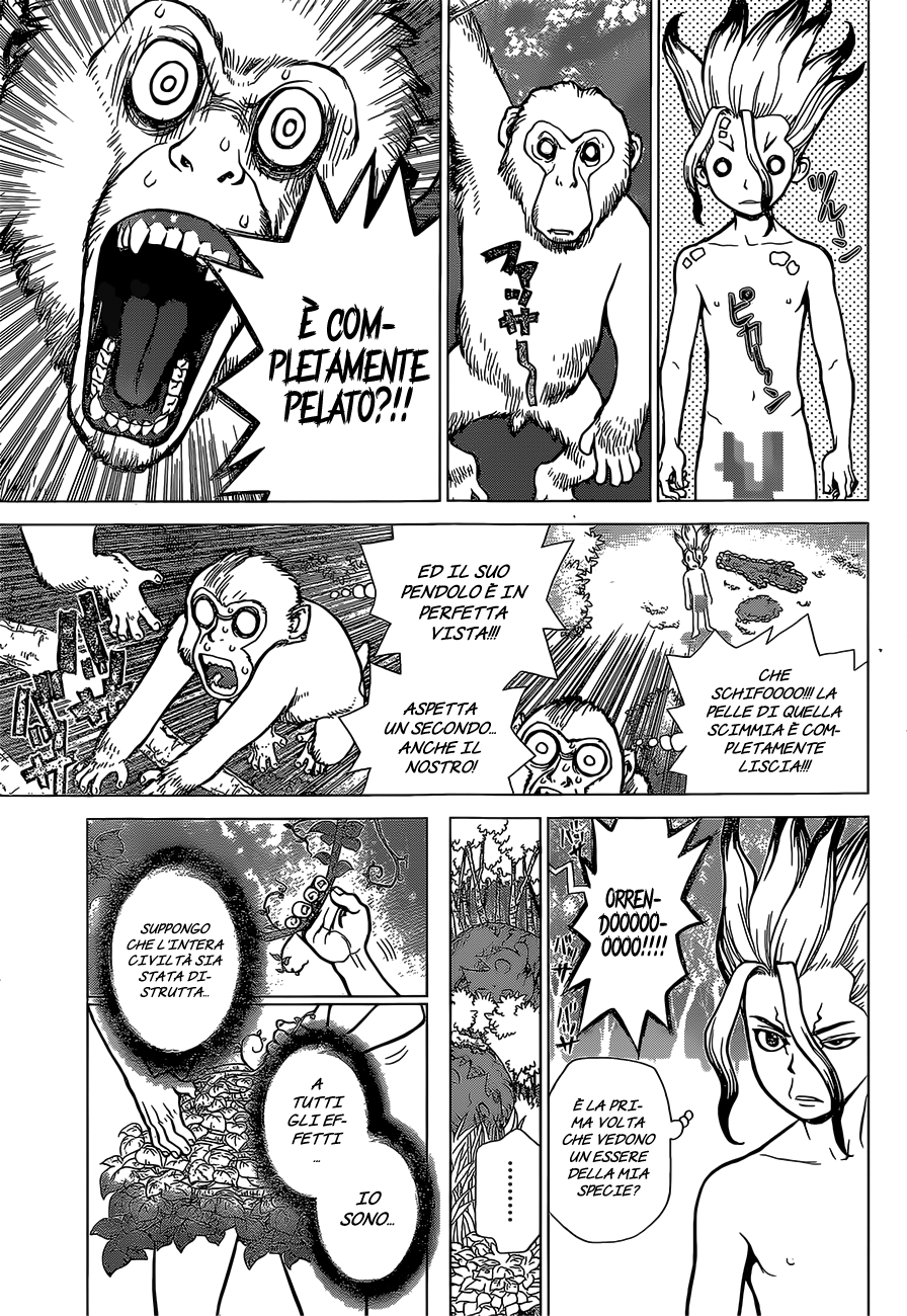Read Dr. Stone IT Manga Online