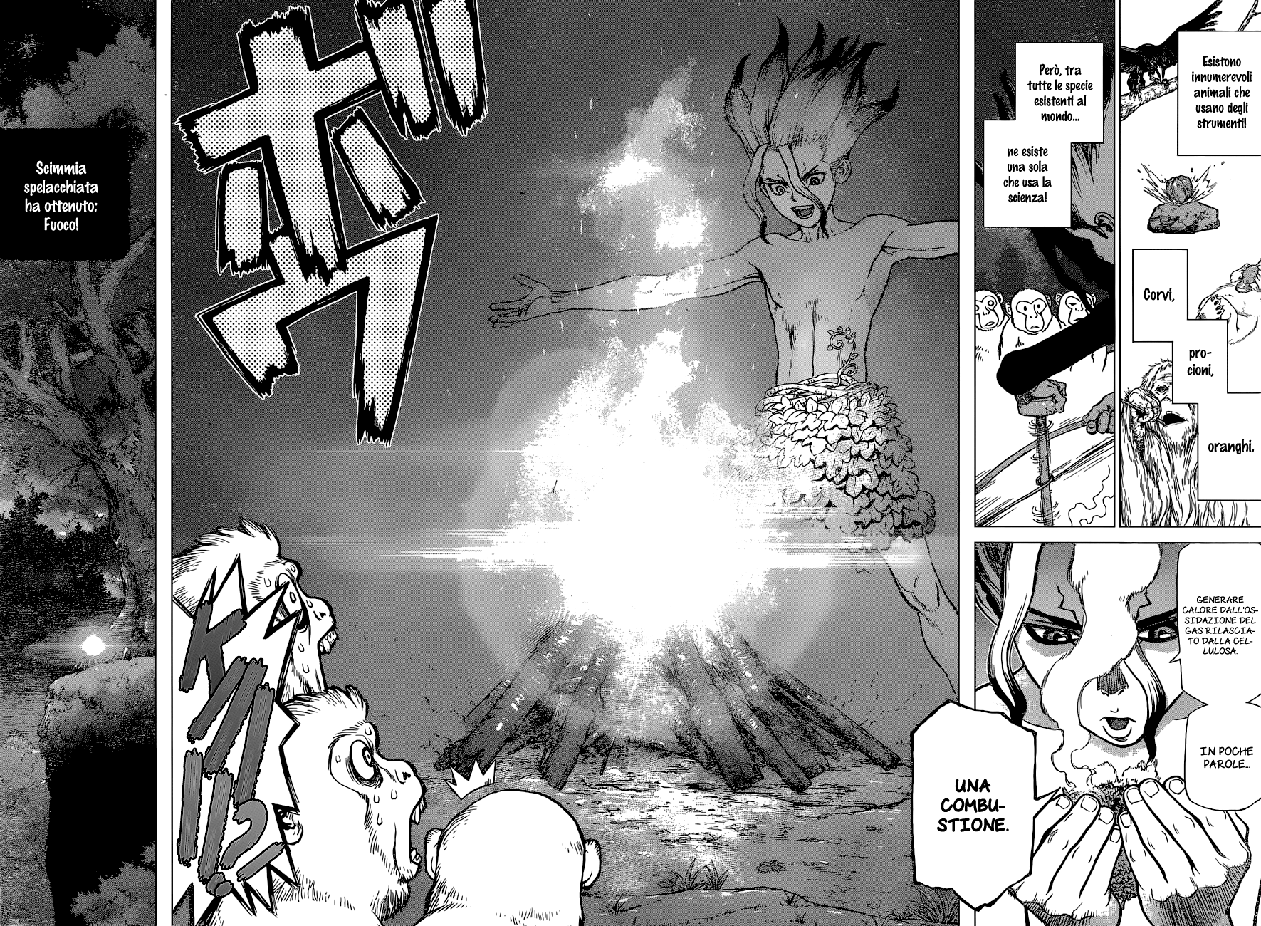 Read Dr. Stone IT Manga Online