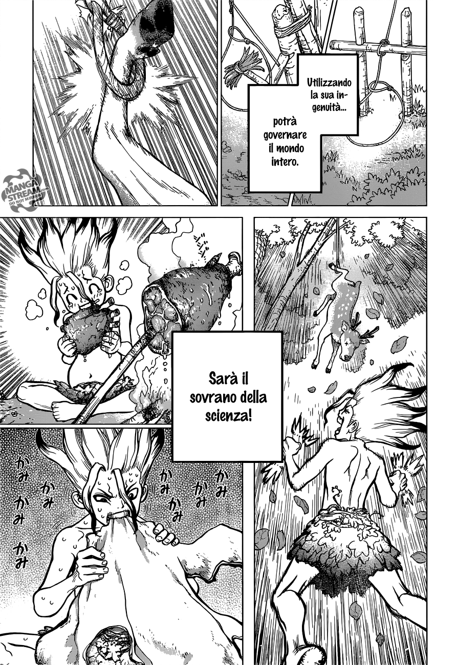 Read Dr. Stone IT Manga Online