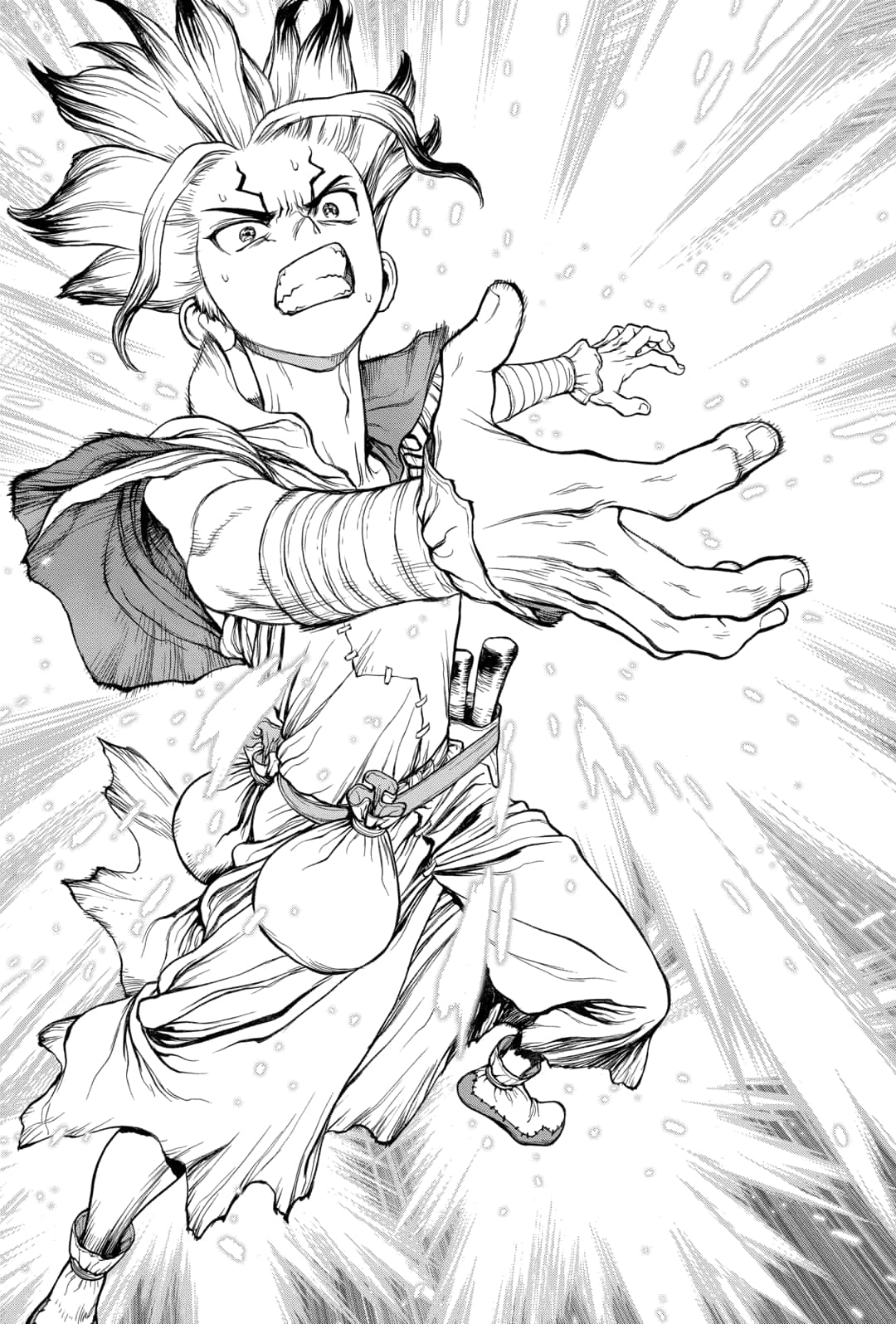 Read Dr. Stone IT Manga Online