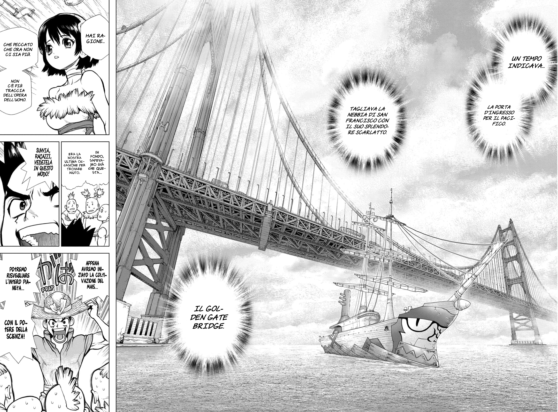 Read Dr. Stone IT Manga Online