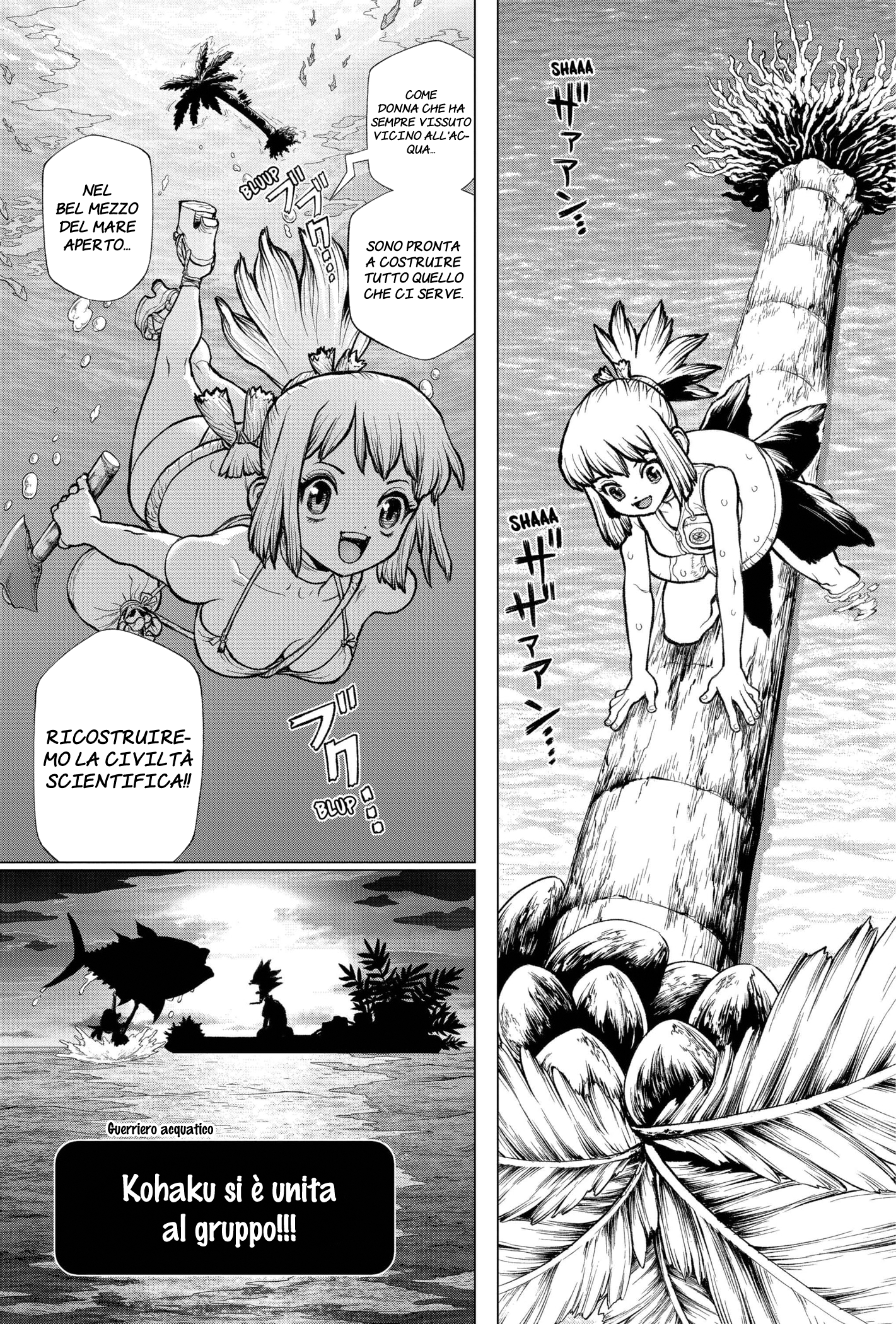 Read Dr. Stone IT Manga Online