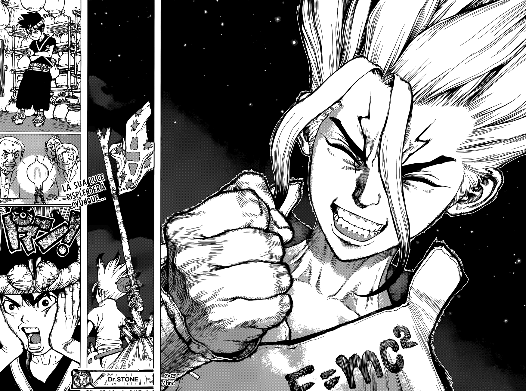 Read Dr. Stone IT Manga Online