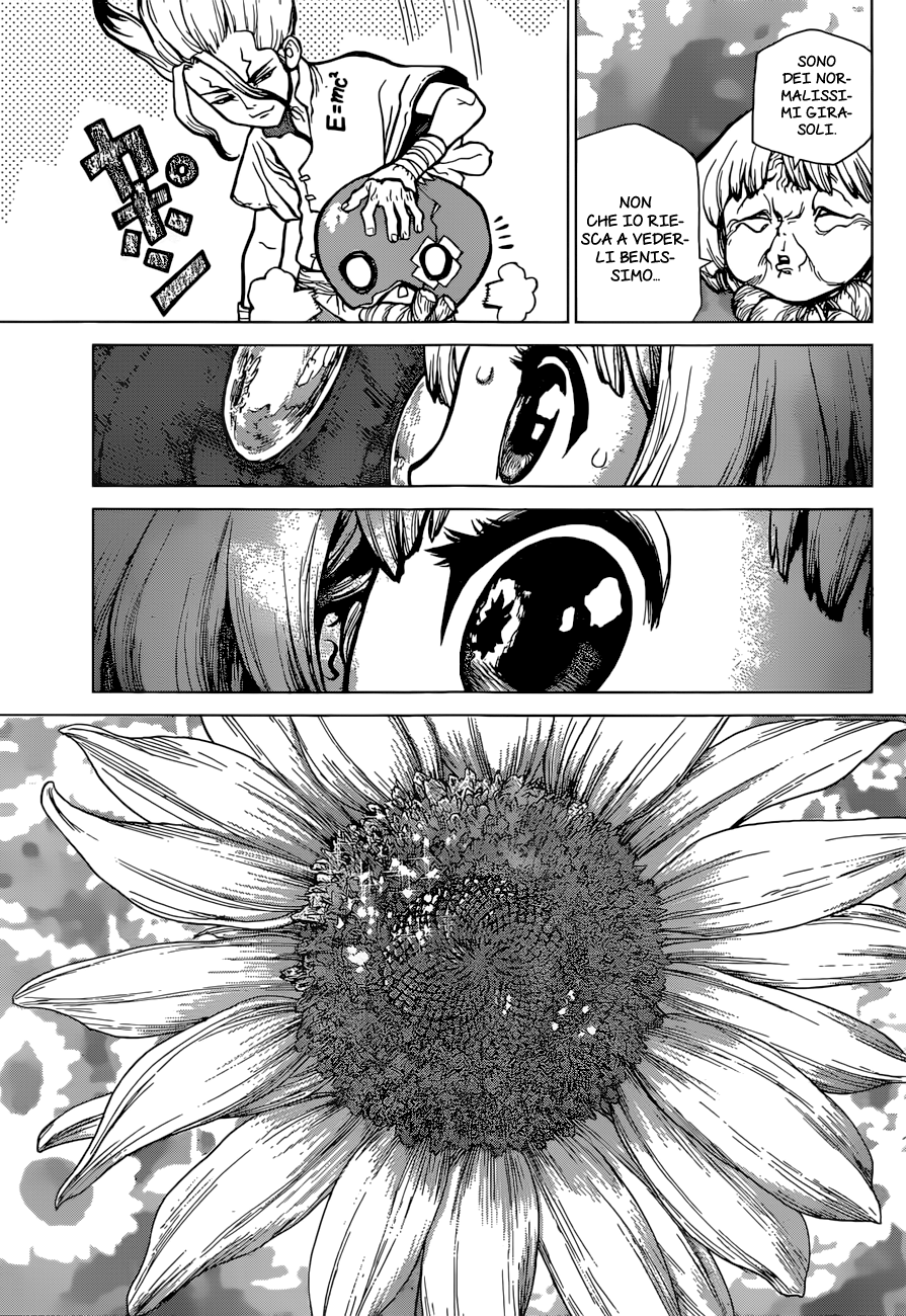 Read Dr. Stone IT Manga Online