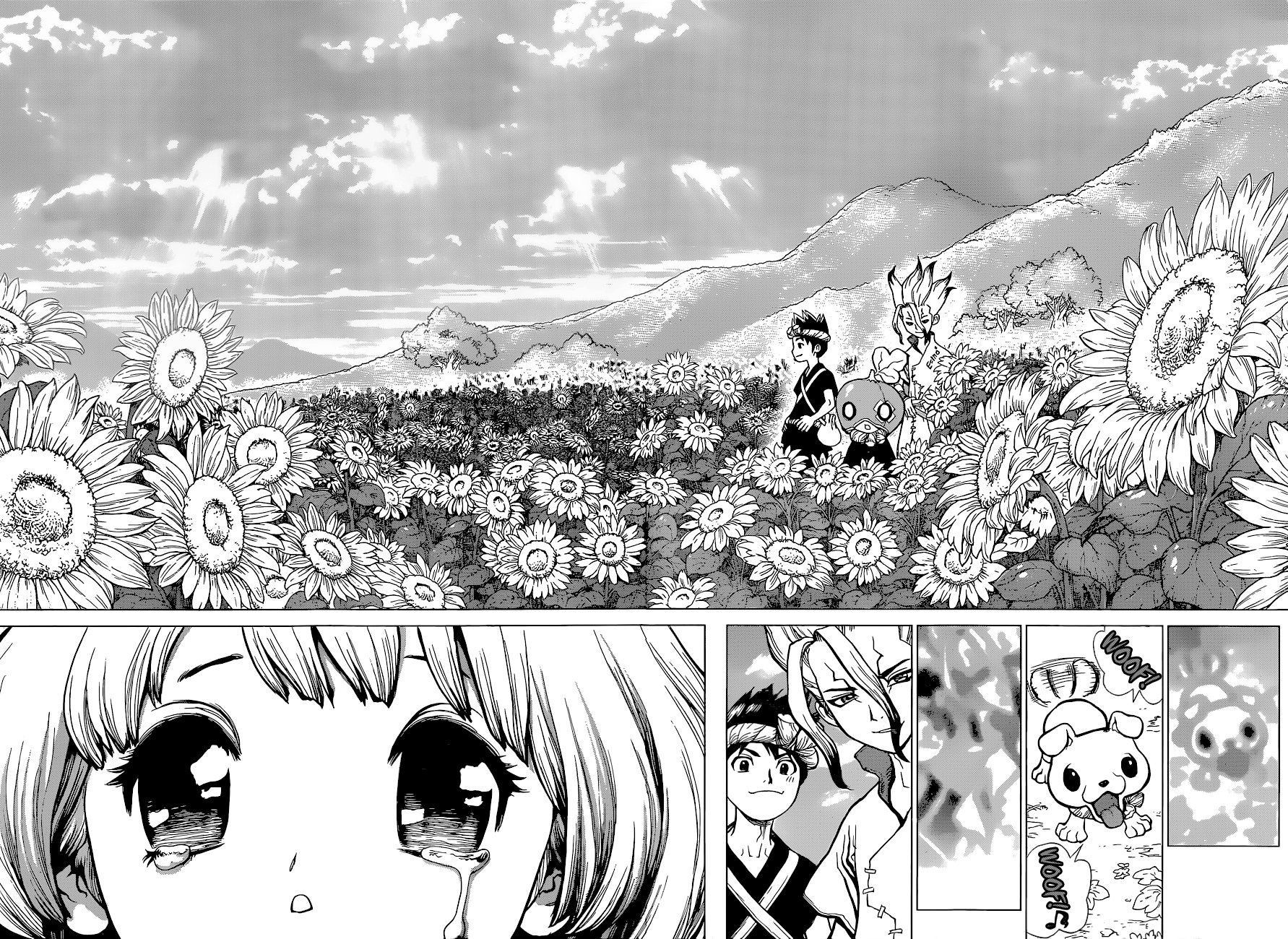 Read Dr. Stone IT Manga Online