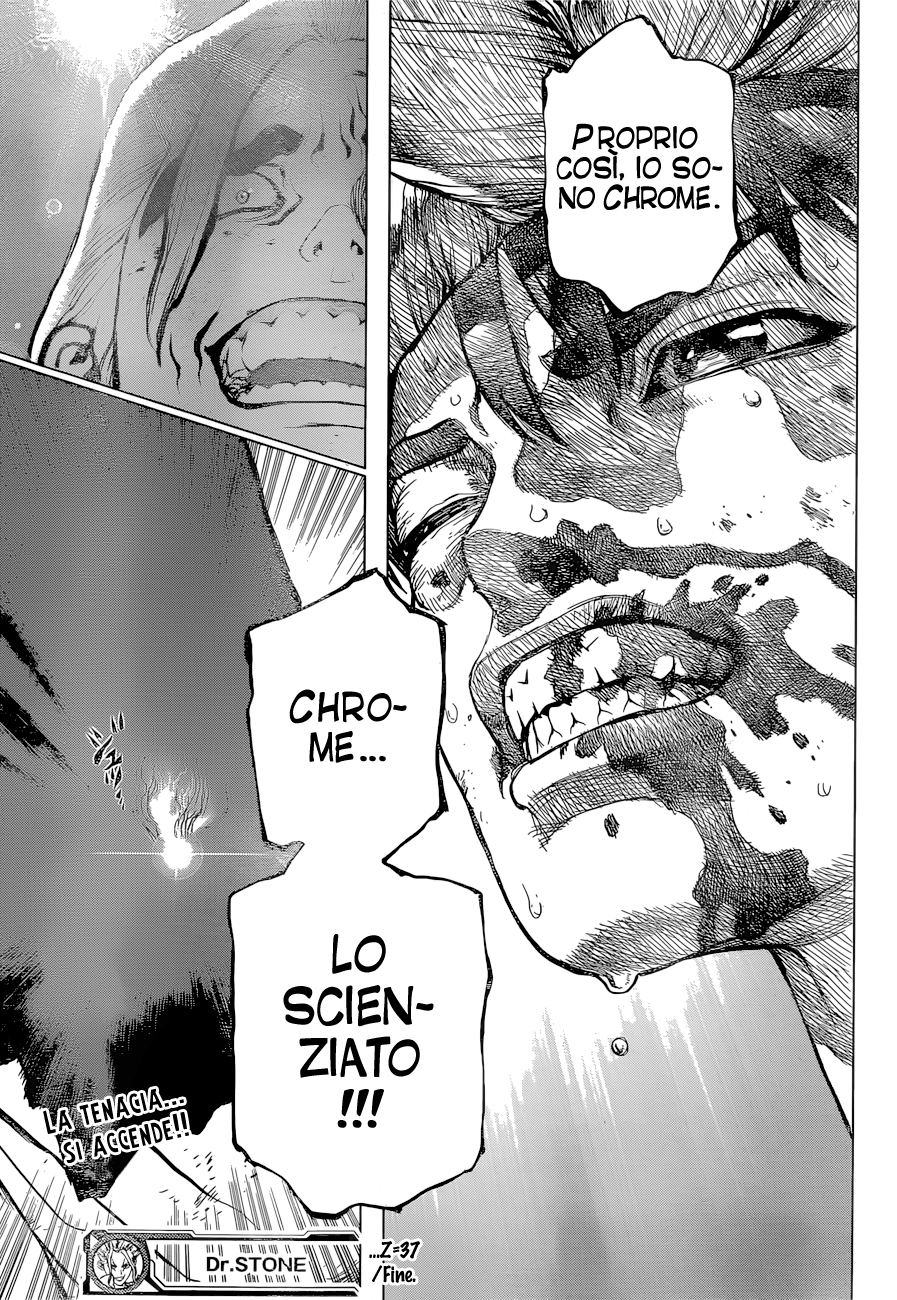 Read Dr. Stone IT Manga Online