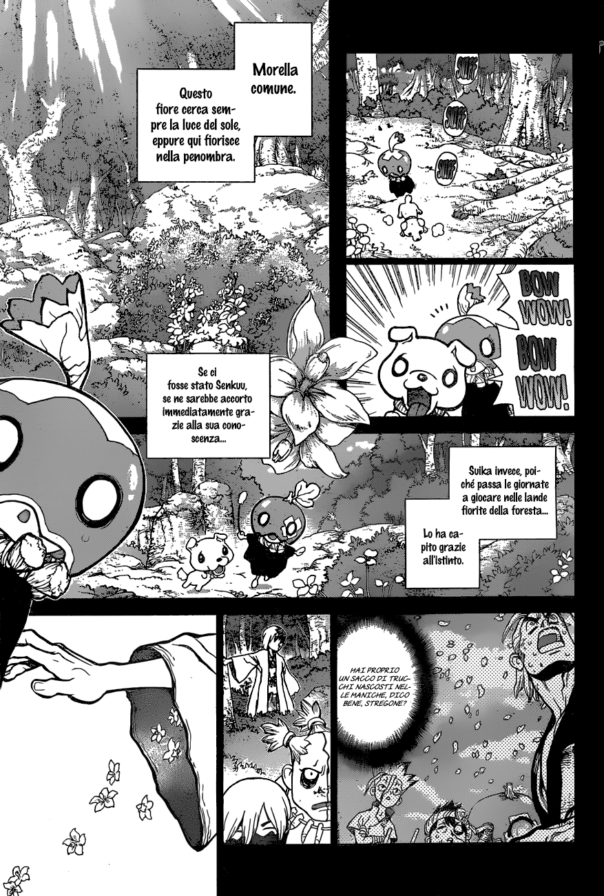 Read Dr. Stone IT Manga Online