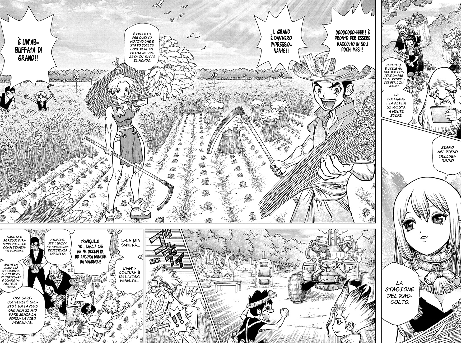 Read Dr. Stone IT Manga Online