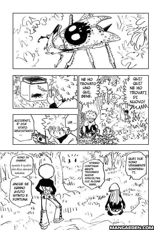 Read Hunter X Hunter Manga Online