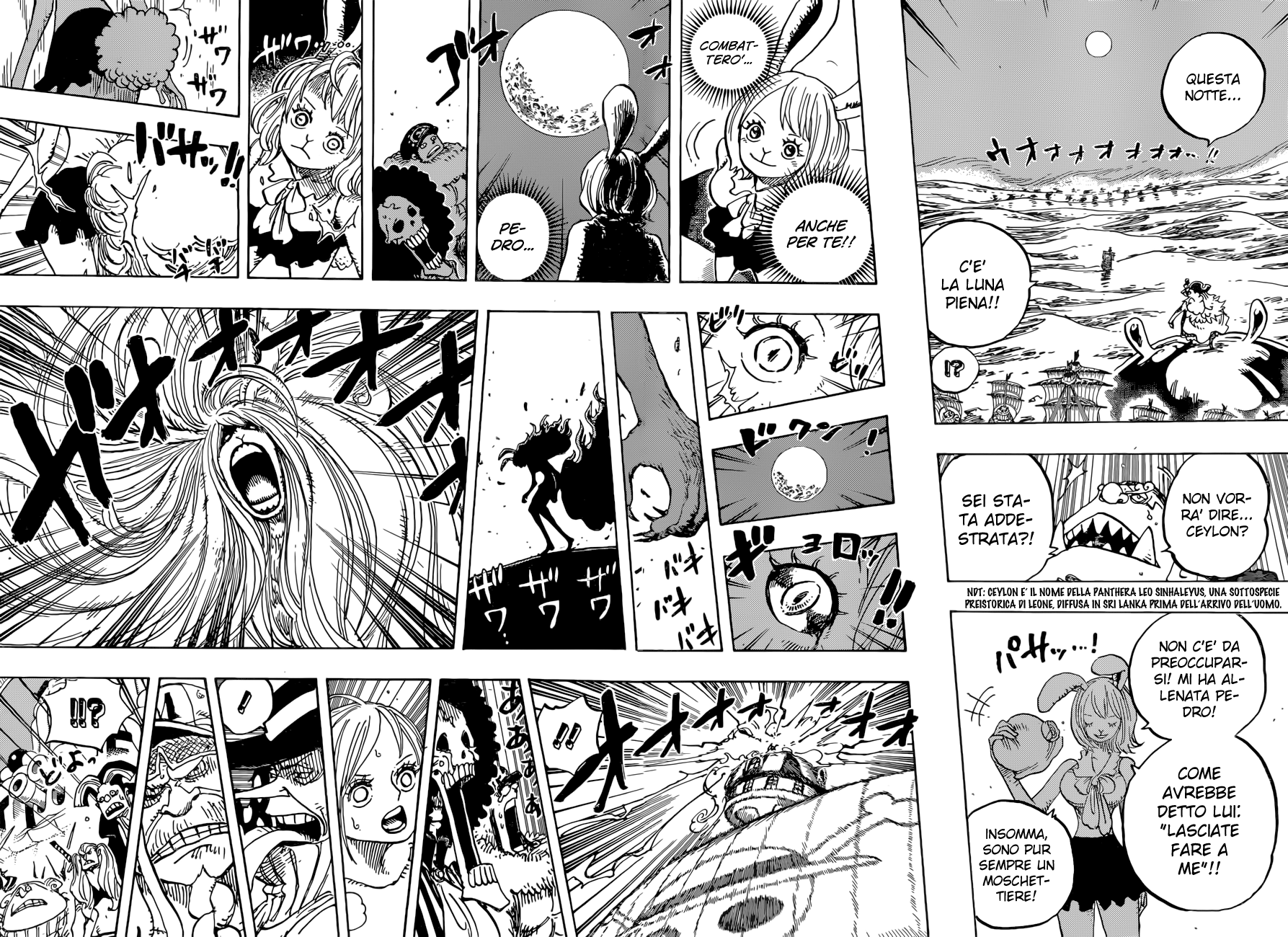 Read One Piece IT Manga Online