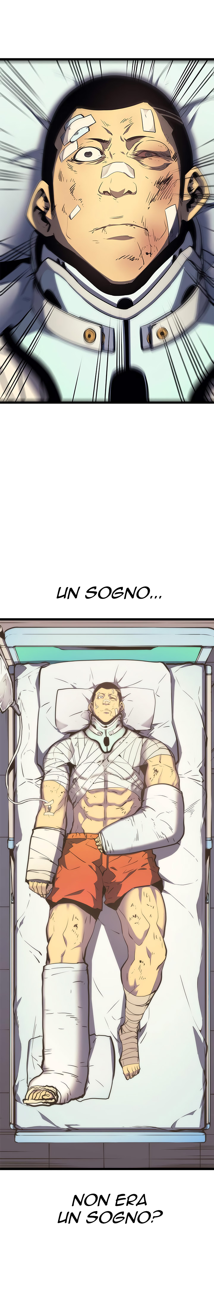 Read Solo Leveling IT Manga Online