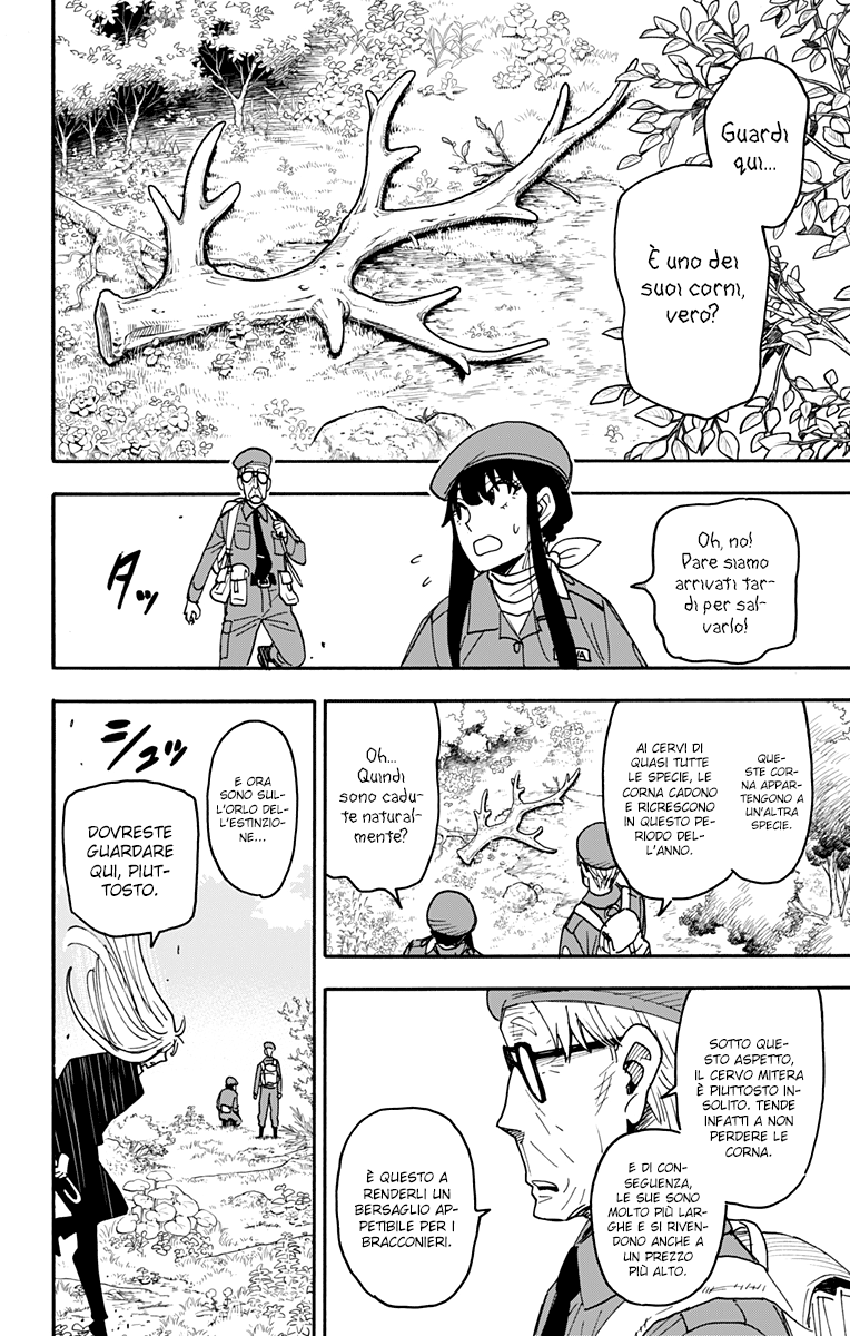Read Spy X Family IT Manga Online