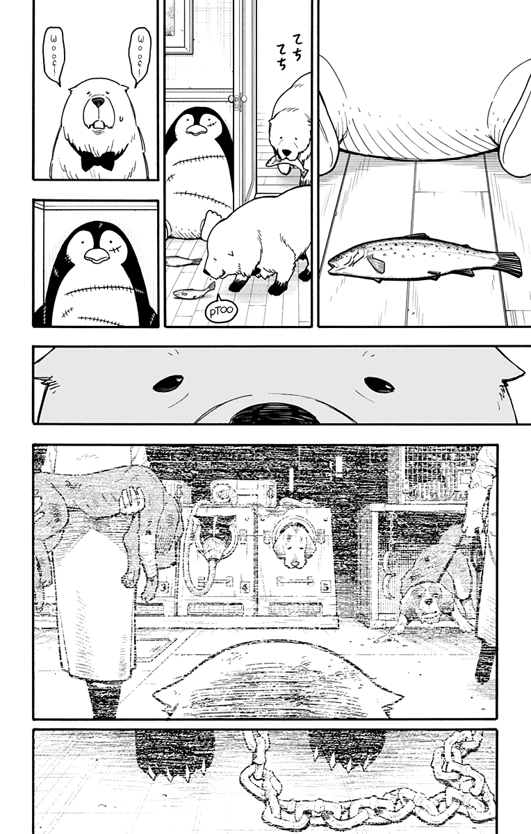 Read Spy X Family IT Manga Online