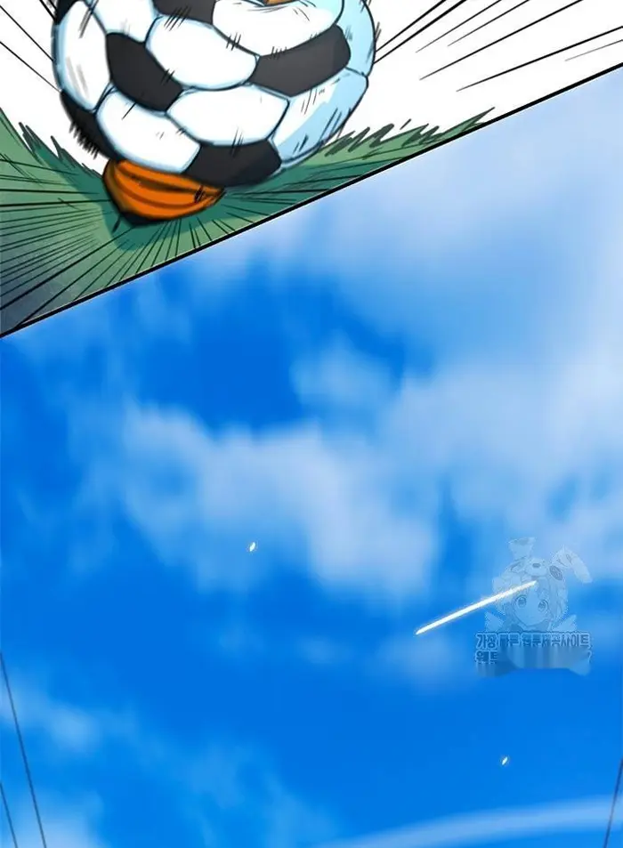 Read I’m Not a Soccer Genius PT-BR Manga Online