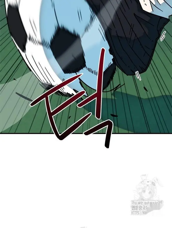 Read I’m Not a Soccer Genius PT-BR Manga Online