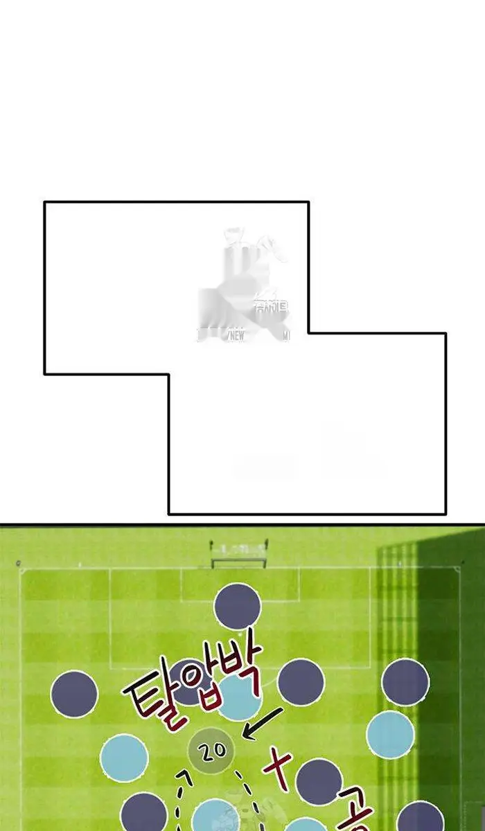 Read I’m Not a Soccer Genius PT-BR Manga Online