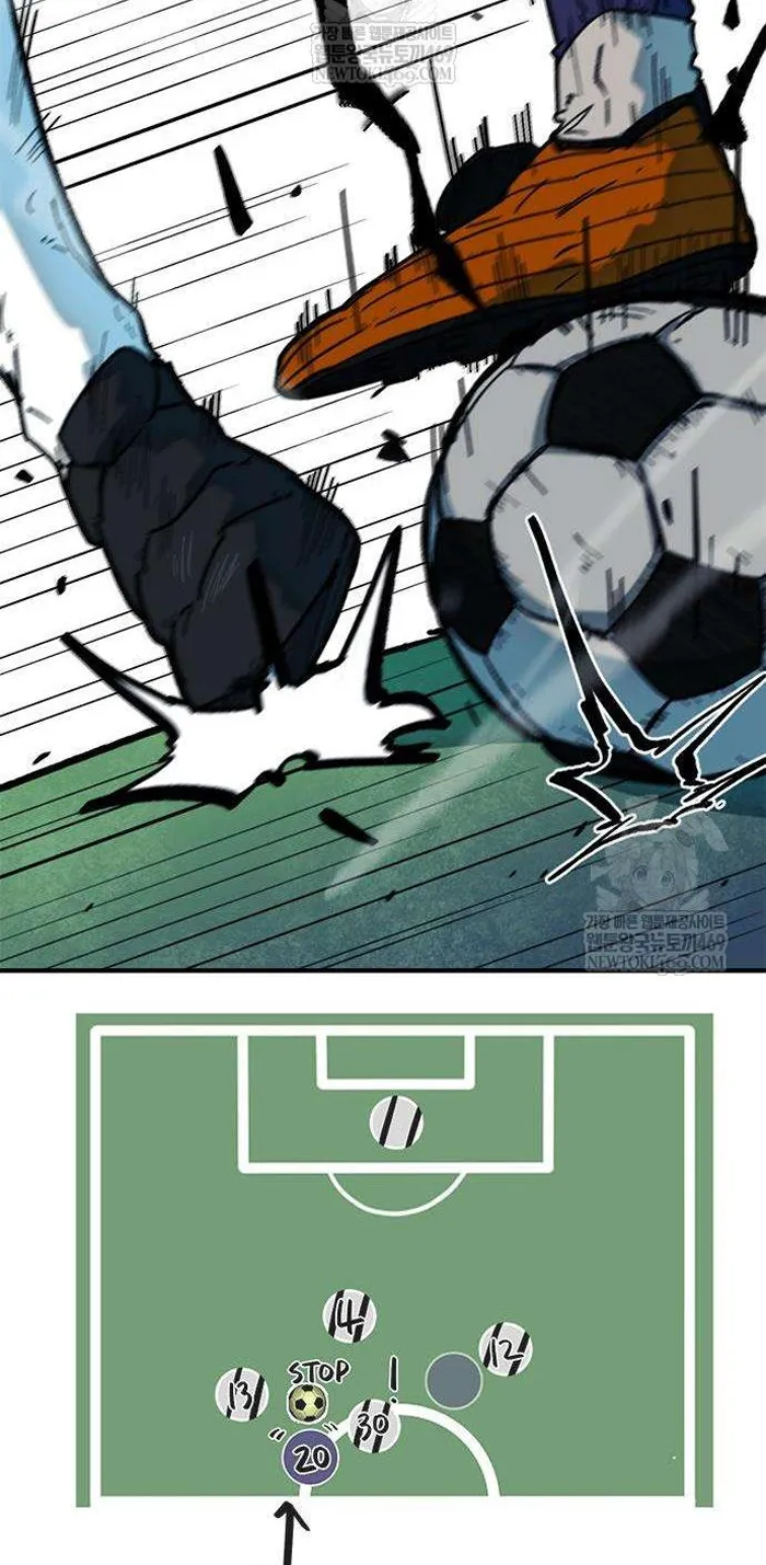 Read I’m Not a Soccer Genius PT-BR Manga Online