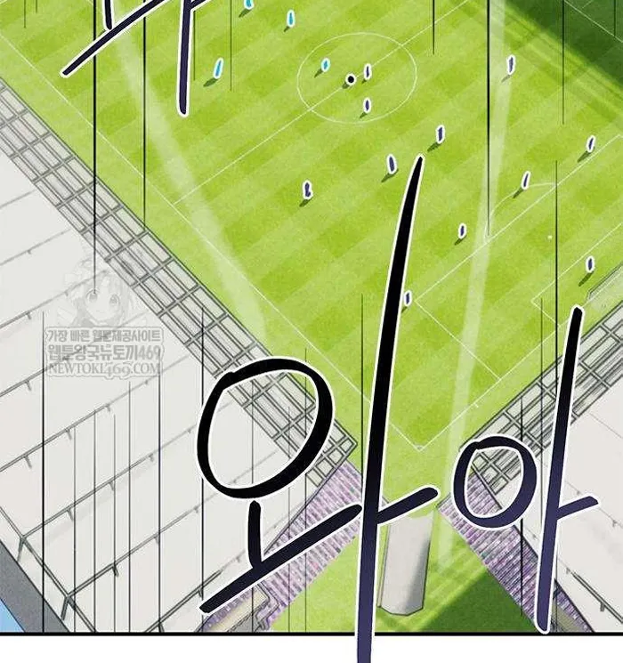 Read I’m Not a Soccer Genius PT-BR Manga Online