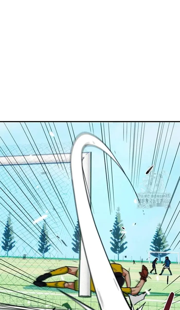 Read I’m Not a Soccer Genius PT-BR Manga Online