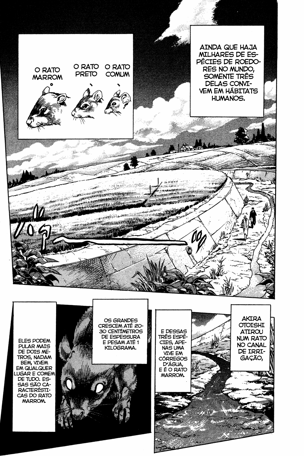 Read JoJo_s Bizarre Adventure Part 4  Diamond is Unbreakable PT-BR Manga Online