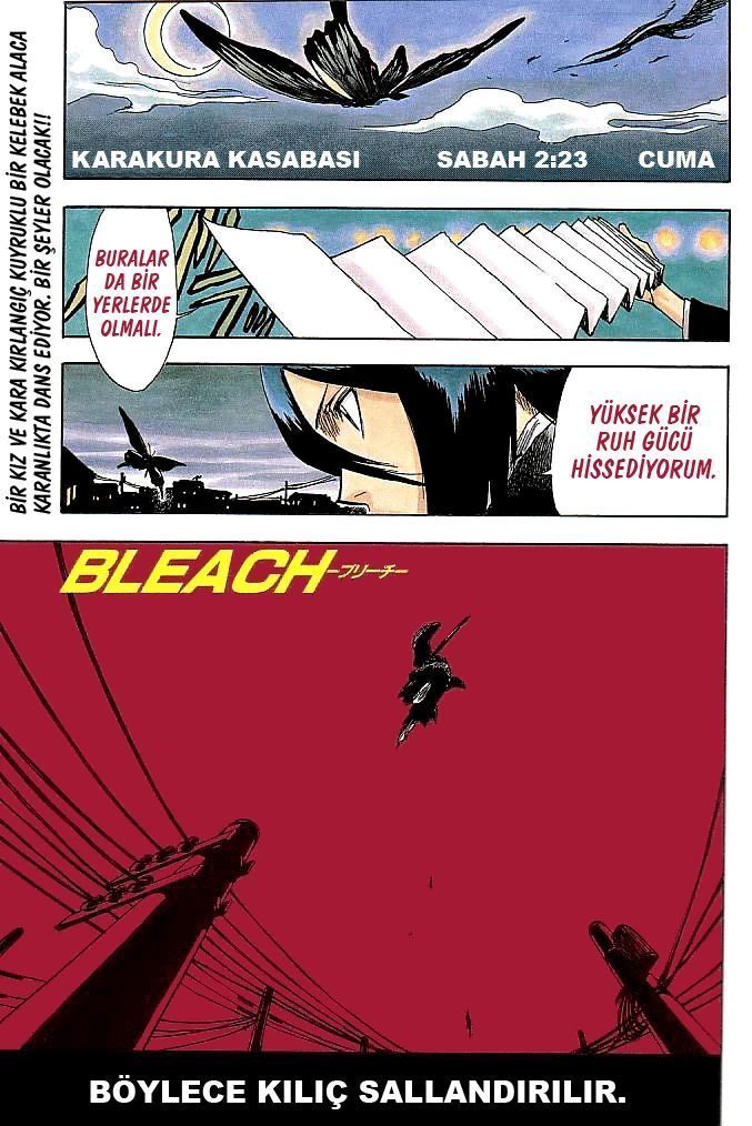 Read Bleach TR Manga Online