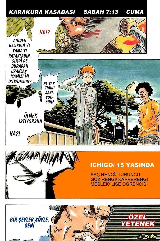 Read Bleach TR Manga Online
