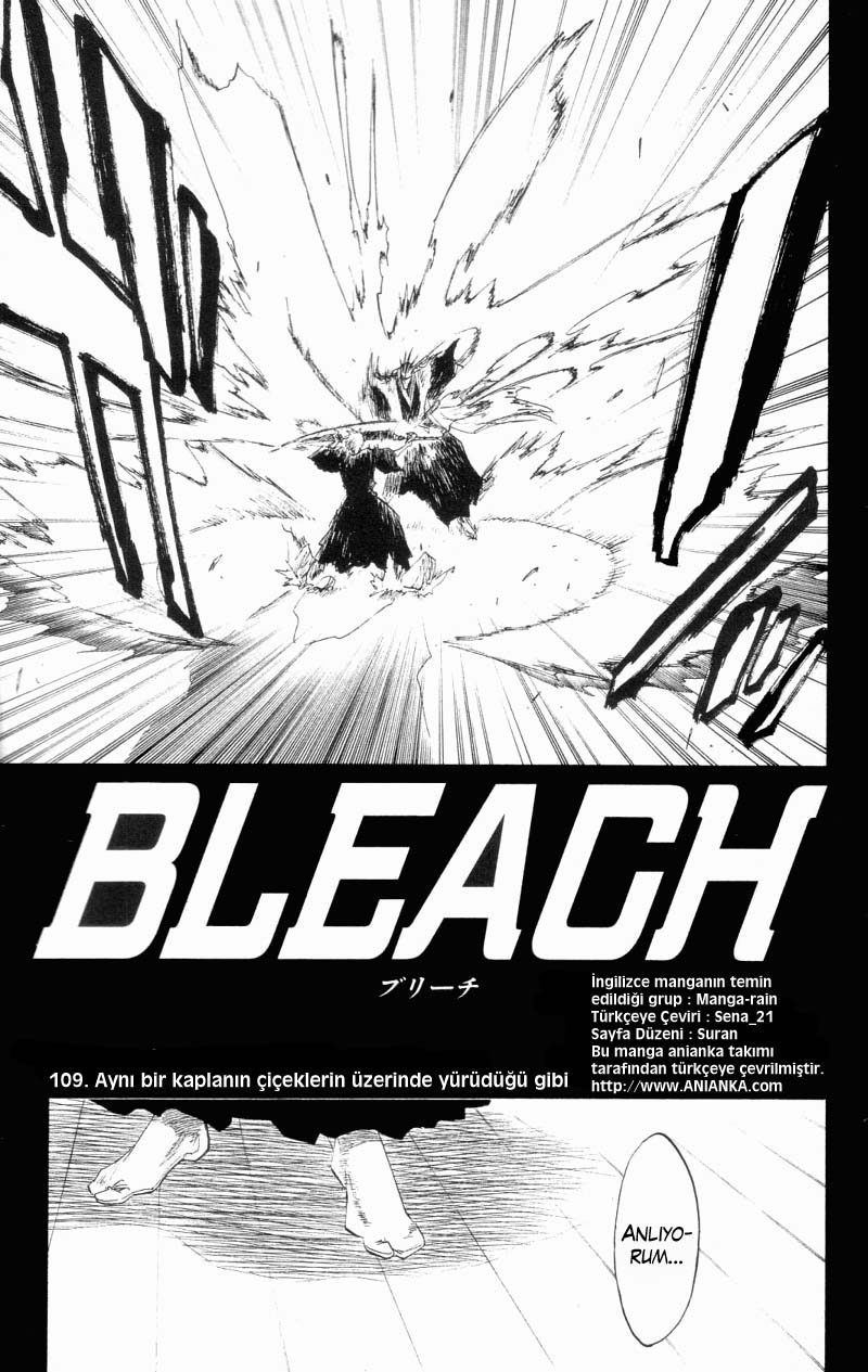 Read Bleach TR Manga Online