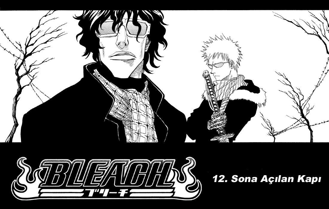 Read Bleach TR Manga Online