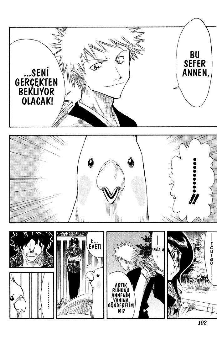 Read Bleach TR Manga Online