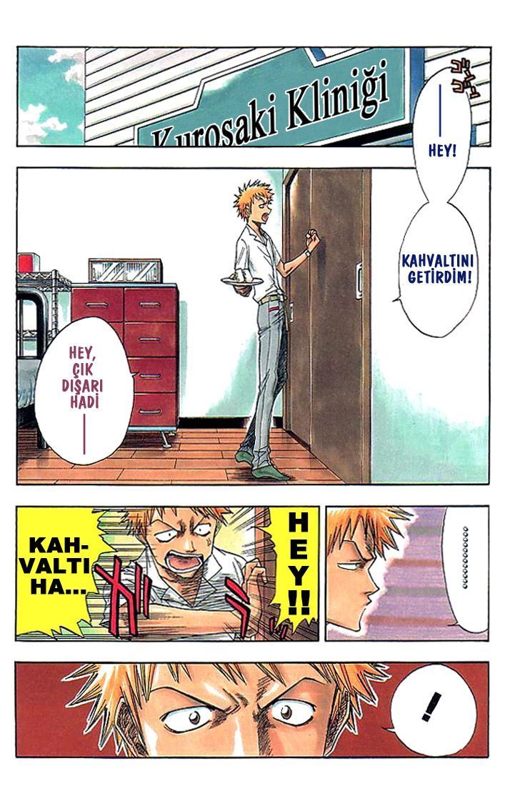 Read Bleach TR Manga Online