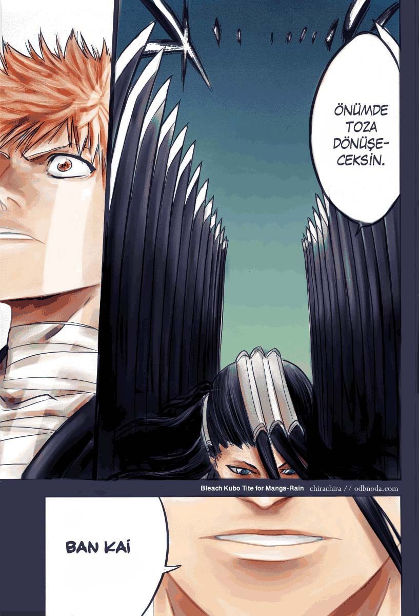 Read Bleach TR Manga Online