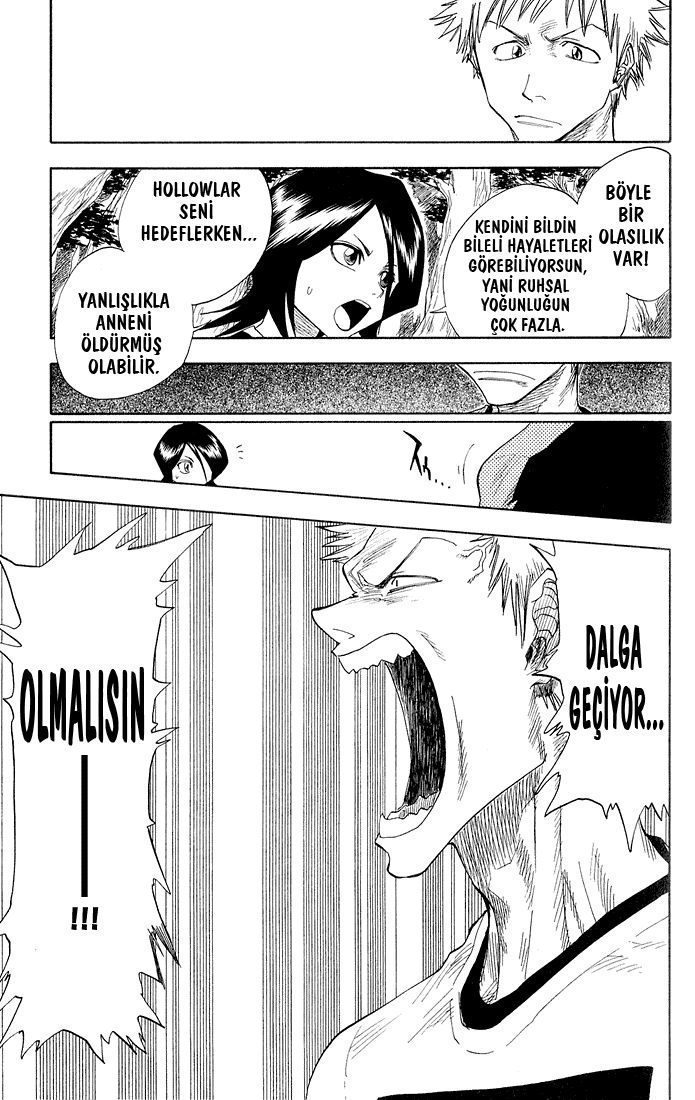 Read Bleach TR Manga Online