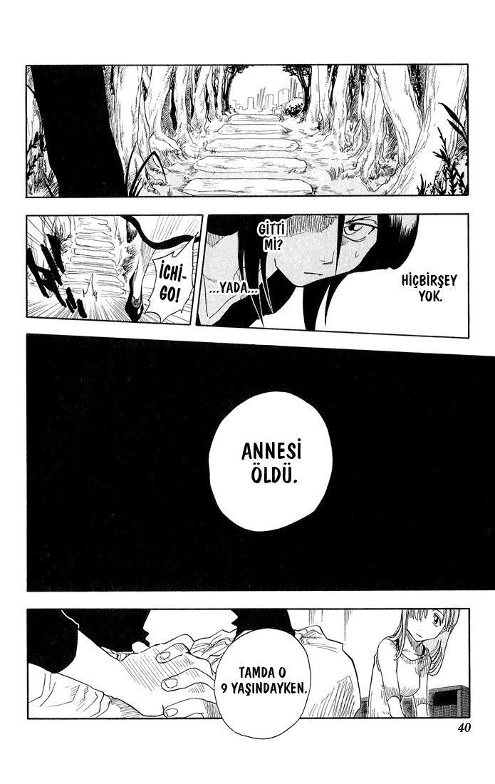 Read Bleach TR Manga Online