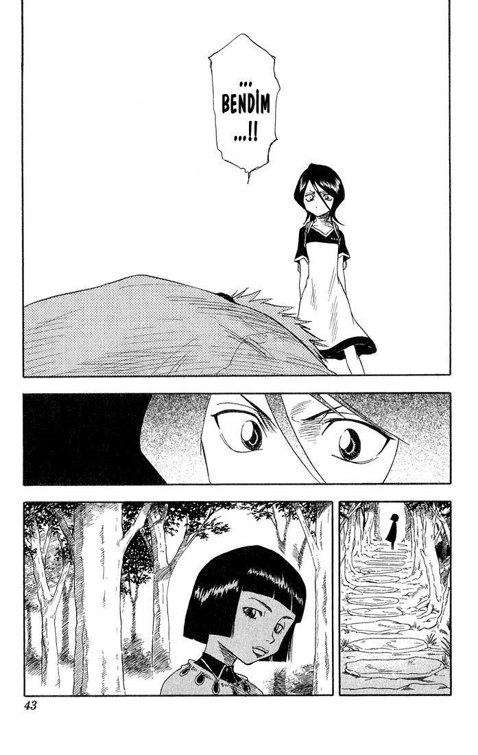 Read Bleach TR Manga Online