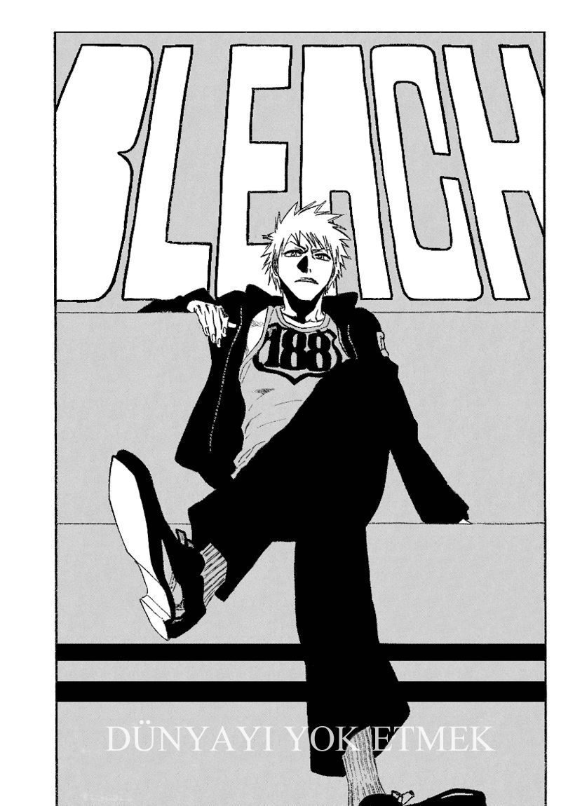 Read Bleach TR Manga Online