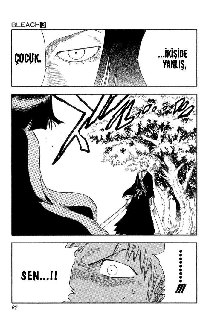 Read Bleach TR Manga Online