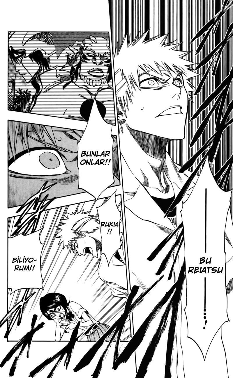Read Bleach TR Manga Online