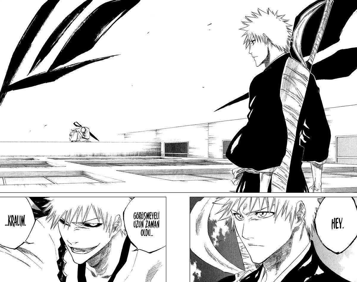 Read Bleach TR Manga Online