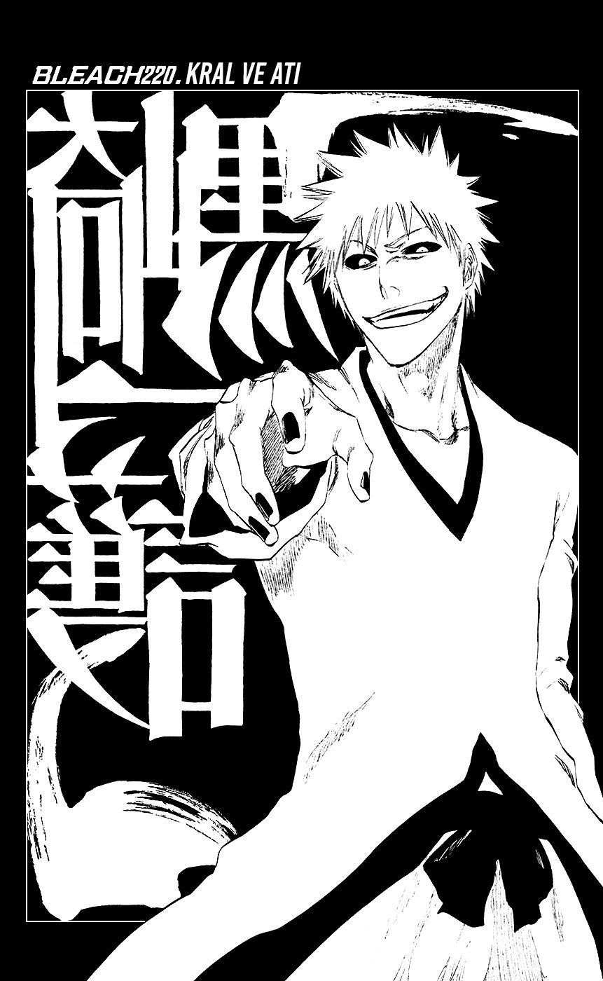 Read Bleach TR Manga Online