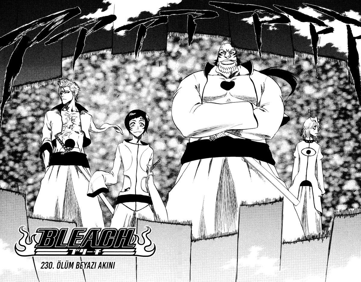 Read Bleach TR Manga Online