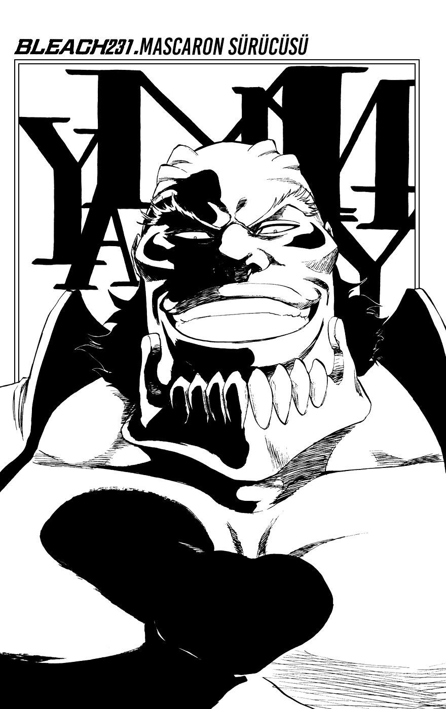 Read Bleach TR Manga Online